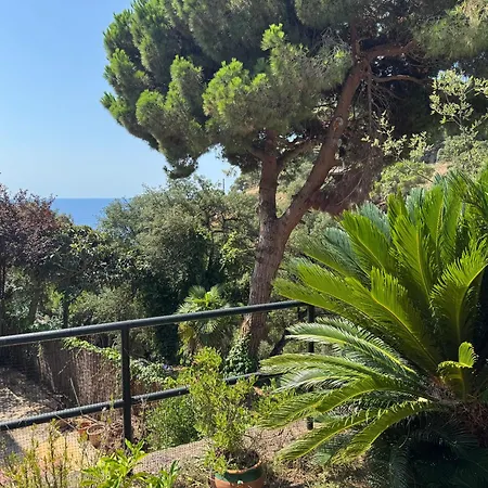 Tatil Evi Escorpion *